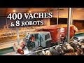 400 Vaches Laitières 8 Robots Bâtiment XXL En Moselle mp3
