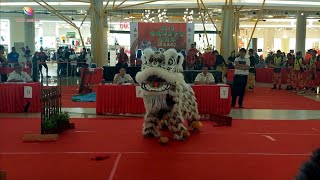 Traditional Lion Dance By Quan Yee Team At Kuala Lumpur Ekocheras Mall Lion Dance Compeion