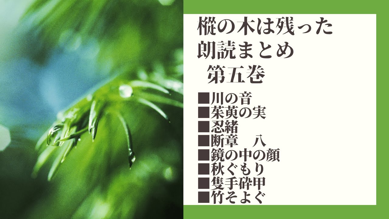 朗読時代小説 樅の木は残った まとめ 第五巻 山本周五郎作 Audiobookchannel Note 朗読時代小説 樅の木は残った まとめ 第五巻 山本周五郎作 Audiobookchannel Note
