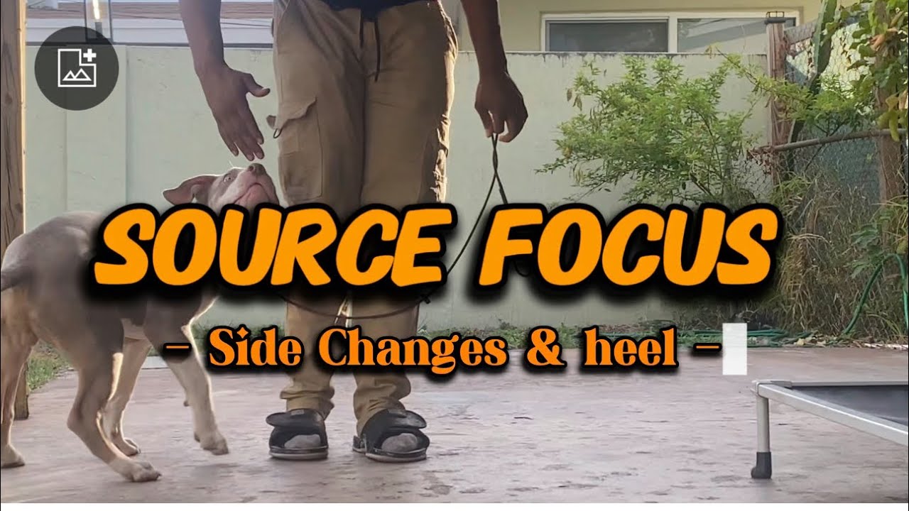 Simba side changes - YouTube