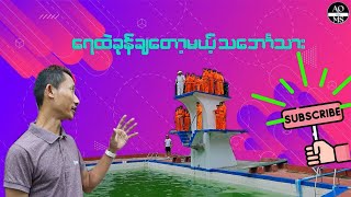 Seaman ဖစခငရင ရကတတရမလ?