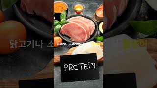 푸드테크뉴스 - 곤충 단백질, 미래의 주식 될까?  #insectprotein