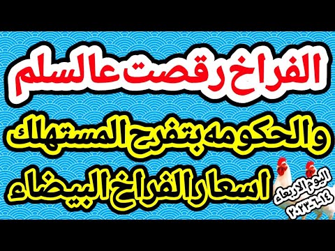 اسعار الفراخ البيضاء اليوم تحديث أسعار الفراخ البيضاء اليوم الاربعاء ١٤-٦-٢٠٢٣ في مصر اسعار الفراخ البيضاء اليوم تحديث أسعار الفراخ البيضاء اليوم الاربعاء ١٤-٦-٢٠٢٣ في مصر