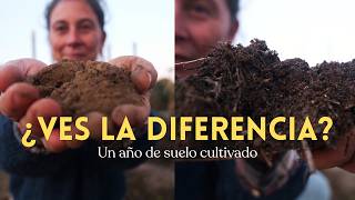 La helada que acabó con el verano (y lo que encontramos debajo) 🌱