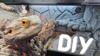 Simple DIY Bearded Dragon Setup 2022 by NORTHERN EXOTICS 27,084 views 2 years ago 15 minutes
