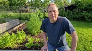 Just Beet It Challenge - Part 2 The Results