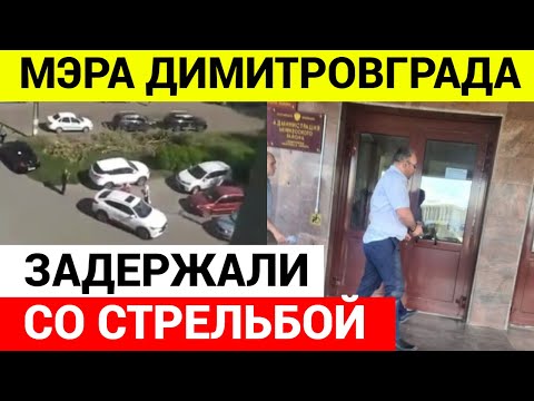 Мэр Димитровграда не собирался сдаваться!