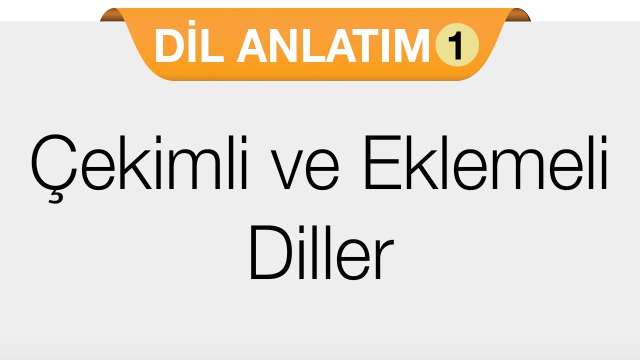 tek heceli dillerin özellikleri