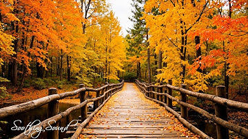 Soothing Autumn Melodies 🍁 Stress Relief and Emotional Healing
