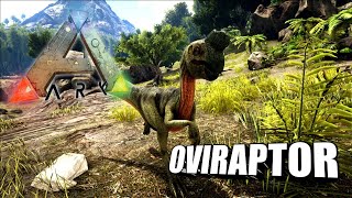 Taming A Oviraptor | Ark Survival Evolved | The Island