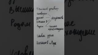 Магия. Просто о сложном. Темный договор.