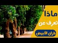 ماذا تعرف عن خزان مدينة الأبيض خزان الأبيض خريف ٢٠٢١ فتح الرحمن أحمد