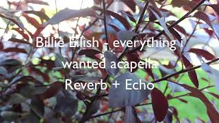 Billie Eilish - everything i wanted acapella (Reverb + Echo)