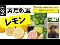 587 レモン檸檬の剪定、育て方 How to prune and grow lemons.　miki3