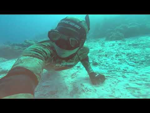 Diving california reef