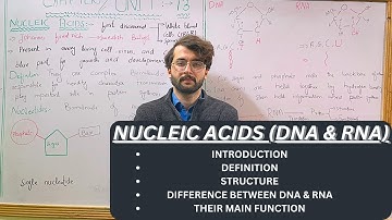 Nucleic acid || class 10 chemistry, unit 13 biochemistry || mmk chemistry