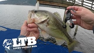 How To Bass Fish From The Shore 