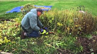 How To Clean Up Perennial Beds In The Fall
