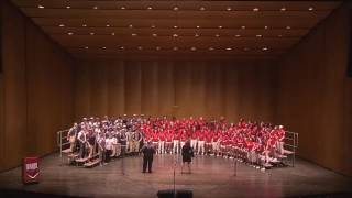 2016 - Acappellooza Summer - Finale
