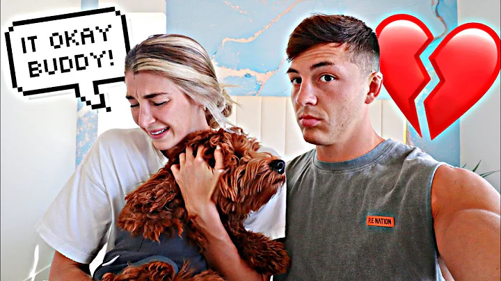 Our Dog Had To Get Surgery