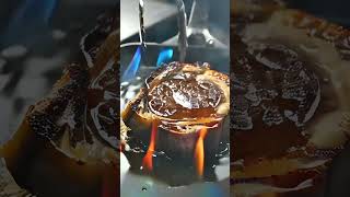 The Physics of the Ultimate Steak Crunch