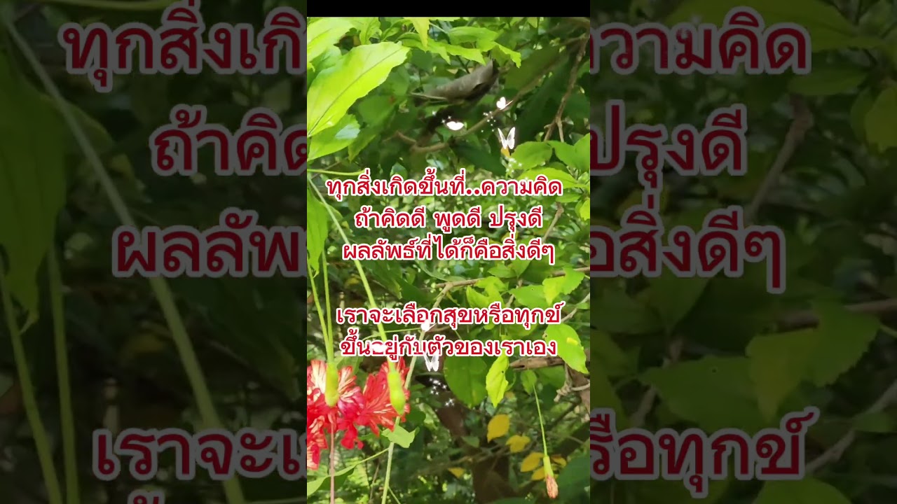 ข้อคิดแรงบันดาลใจ#พลังบวก #คําคมชีวิต #คติเตือนใจ #แรงบันดาลใจดีๆ