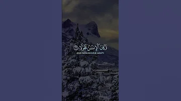 أجمل تلاوات القرآن الكريم 55 القرآن القرآن الكريم قرآن قرآن كريم Quran Recitation 