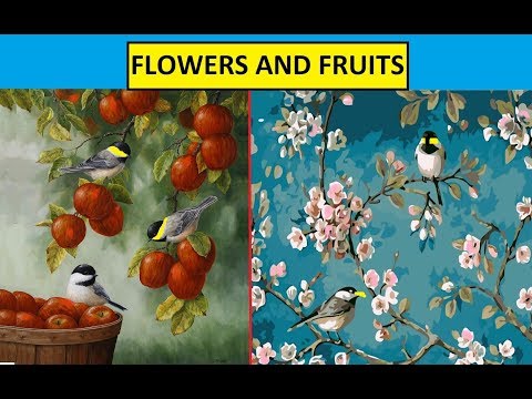 CBSE: Class 4: Flowers and Fruits