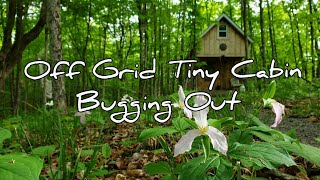 Off Grid Tiny Cabin | Bugging Out