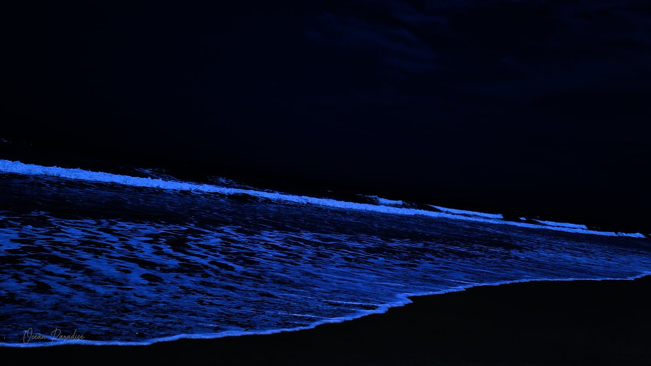 all-you-need-to-fall-asleep-12-hours-of-deep-sleep-with-dark-screen