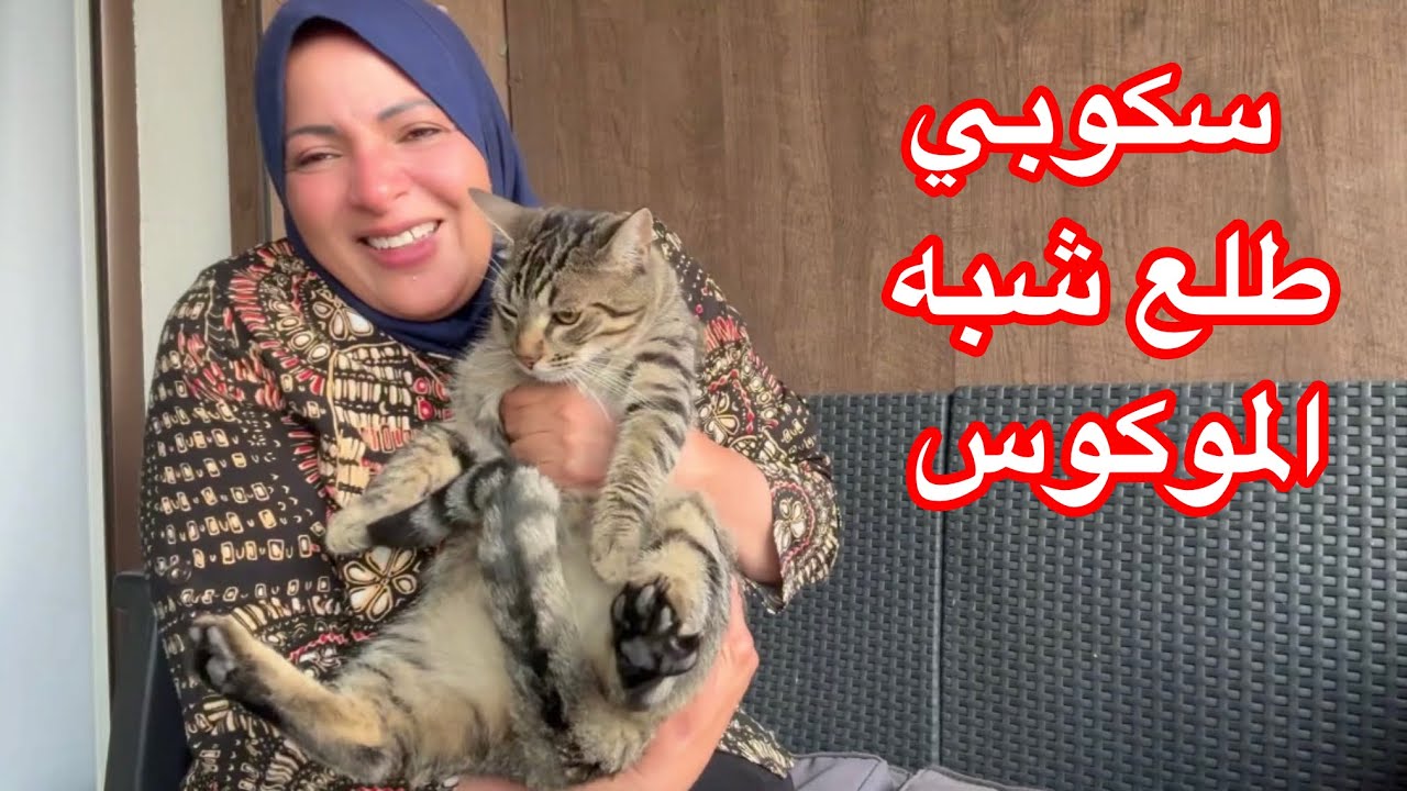 كل شيء أنكشف وبان😅😅😅