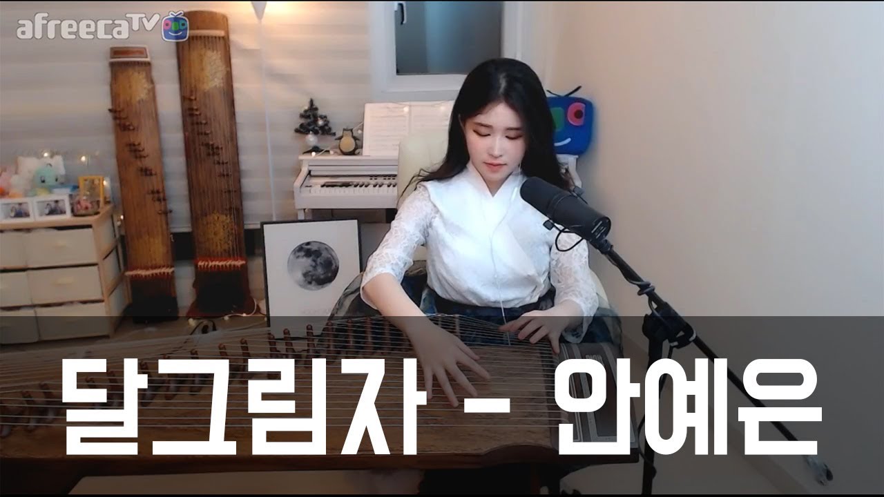 안예은 - 달그림자 cover . 아야금