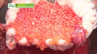 SBS 생방송투데이 1061회 #6(7)