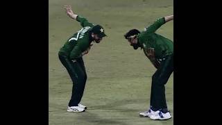 Stand With Pct Today ♥️🩹 #shorts #cricket #pakvsusa