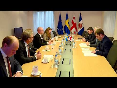 შს მინისტრი შვედეთის პარლამენტის თავმჯდომარის მოადგილეს შეხვდა