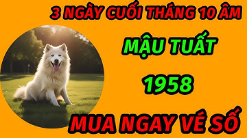 3 ngày đặc biệt cuối tháng 10 âm lịch cho tuổi mậu tuất 1958 may mắn bùng nổ trúng số độc đắc giàu 