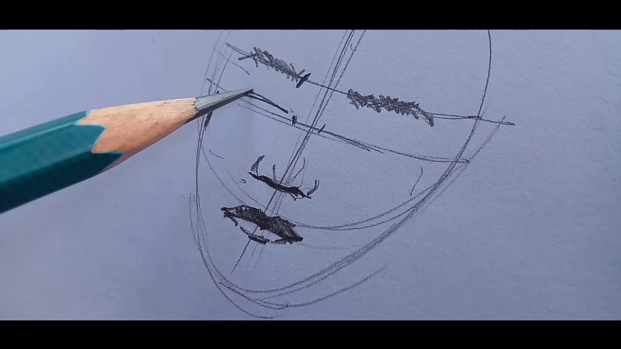 quick sketch drawing download quick sketch drawing download
