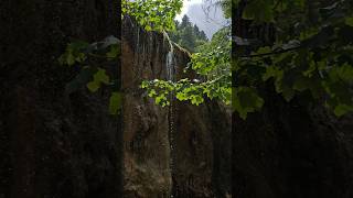 Cascada Urlătoarea(Vama Buzăului).Ați ajuns aici?😁#romaniafrumoasa #cascada #reels #subscribe #fyp