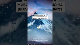 Хочешь Себе Завести Живого Гуся На Компьютере? 🪿