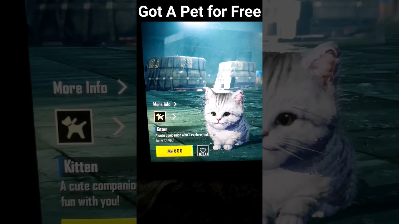 got this for free... to know how.. subscribe to know... 