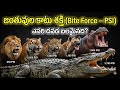 Animals bite force in telugu #crazyfacts #news #shockingfactsamazing #amazing #crazyfacts2026