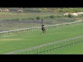 Lot 53 - SERENDIPITOUS - CAPTAIN OF ALL x SYLVANITE - 22 October 2023