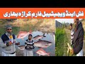 Fish And Vegetables Form || Karara Behari Dadyal Azad Kashmir