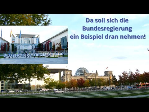 Welttierschutztag - Ausstieg aus dem Tierversuch! Jetzt!