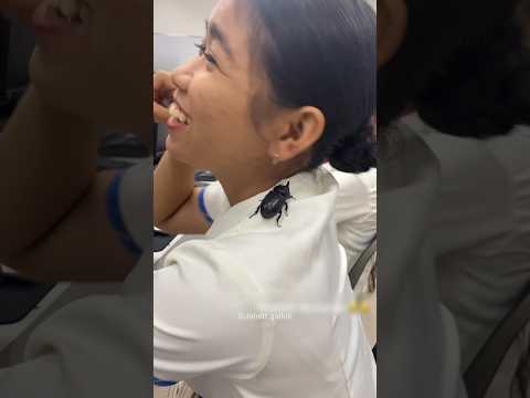 Gardan tak pochocha chota keeda #shortsvideo