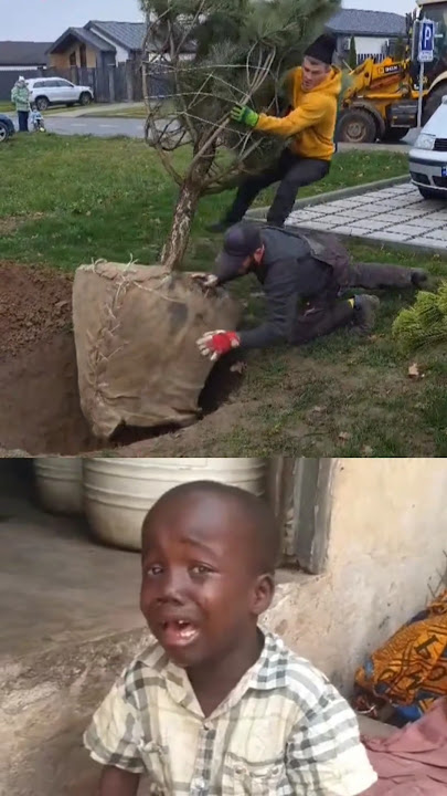 time for planting tree #funny