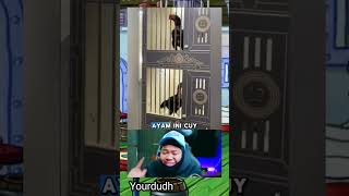 Reaction Vidio Lucu 😂😂🤣🤣 #yourdudh #memengakakkocak #funny #lucu