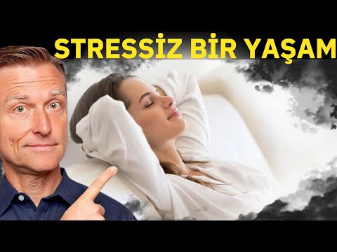 Bir Daha Asla Strese Teslim Olmayın! | Dr. Berg Türkçe