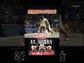 🏆未来の横綱、発見。#11 勢翔太 わんぱく相撲全国大会
