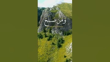 القارئ عبد العزيز سحيم - راحه نفسيه / قران كريم /صوت جميل✨🥺